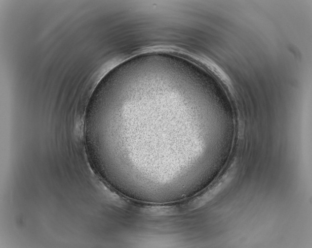 X0000112080953200908181239