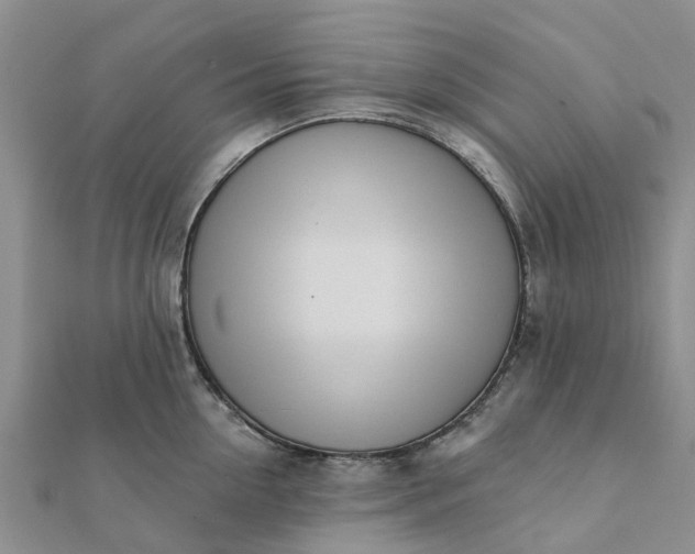 X0000112080954200908181239