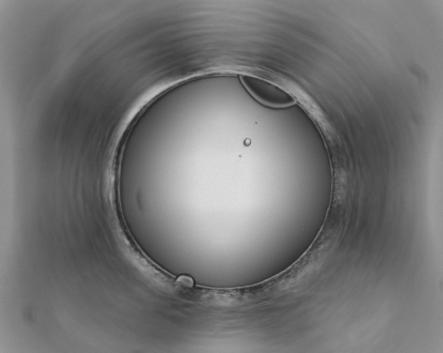 X0000112080955200908181239