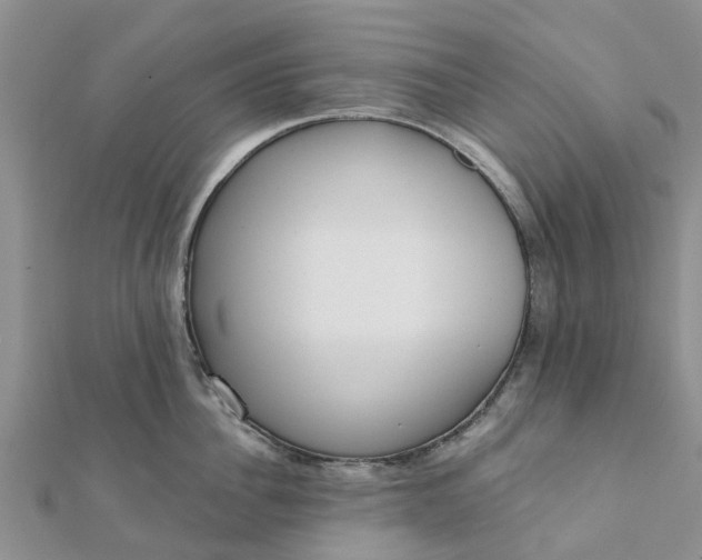 X0000112080956200908181239