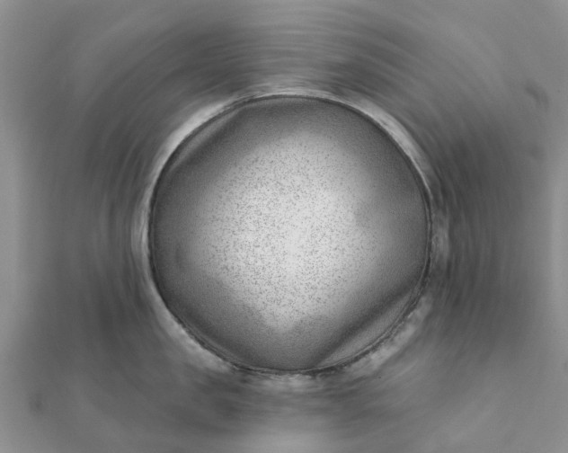 X0000112080957200908181239