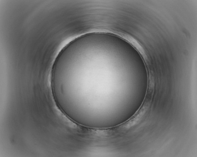 X0000112080958200908181239