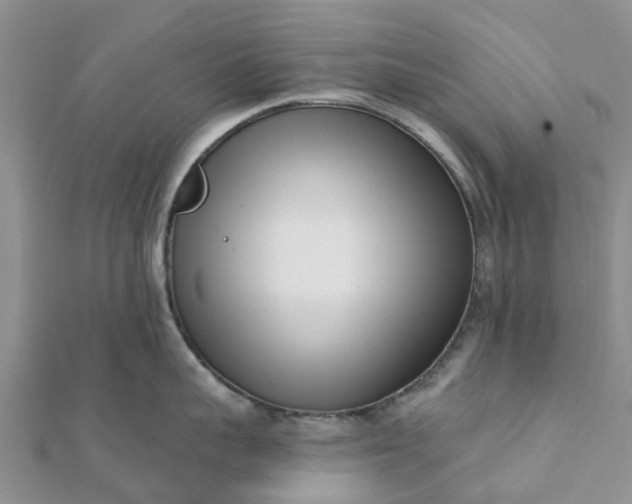 X0000112080959200908181239