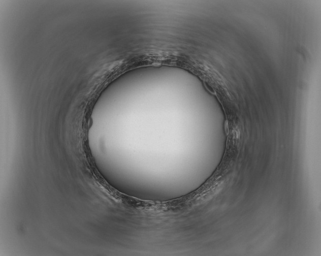 X0000112080961200908181238