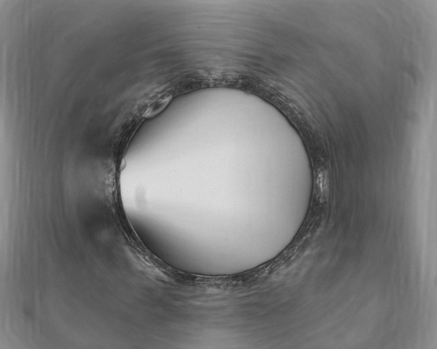 X0000112080963200908181238