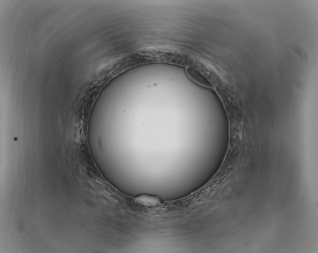 X0000112080965200908181238