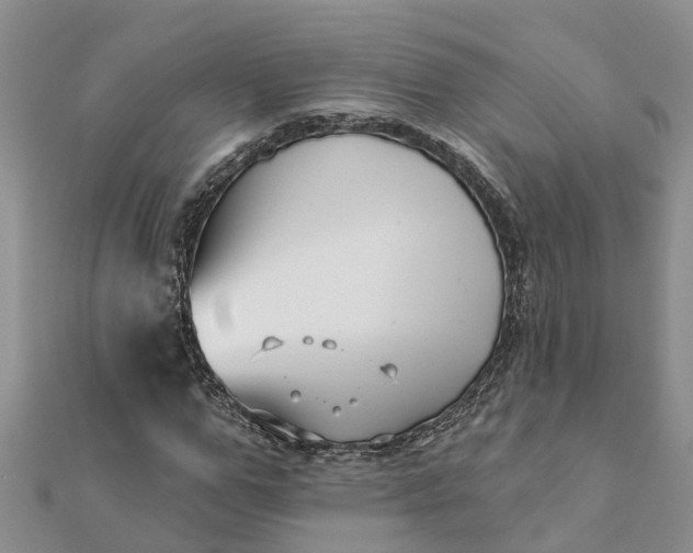 X0000112080967200908181238