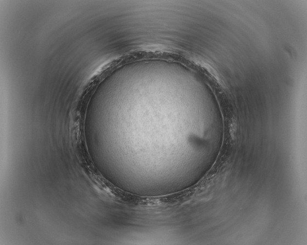 X0000112080968200908181238