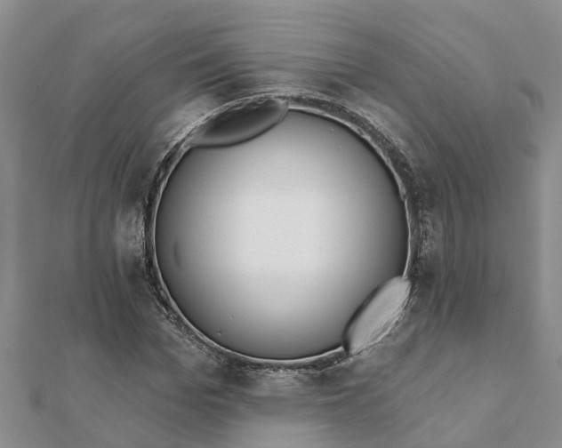 X0000112080969200908181238