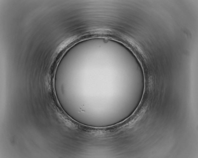 X0000112080970200908181238