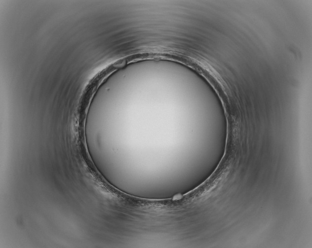 X0000112080971200908181238