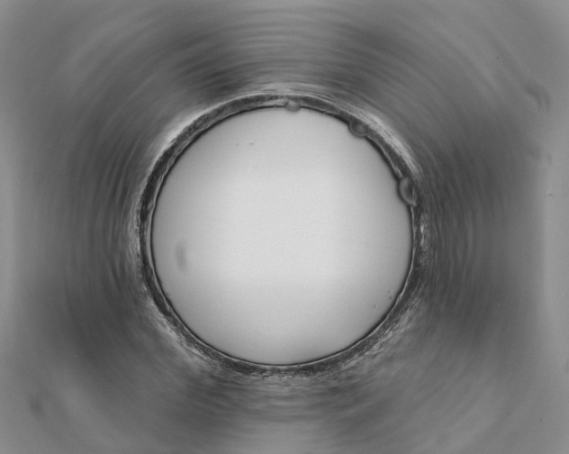 X0000112080972200908181238