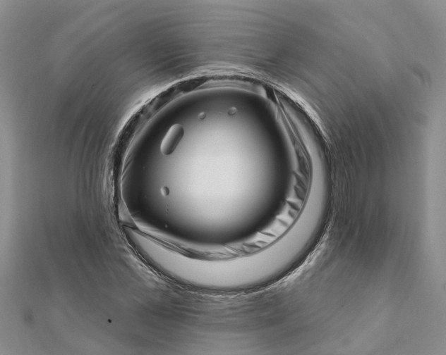 X0000112080973200908181238