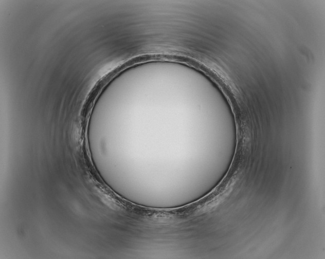 X0000112080974200908181238