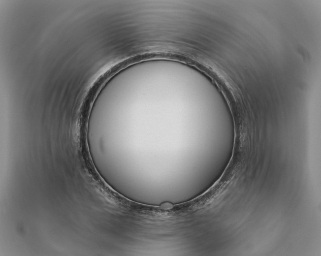 X0000112080975200908181238