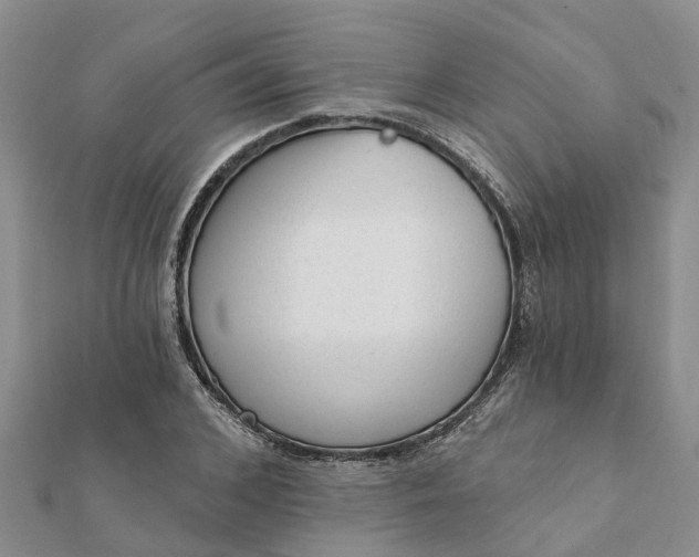 X0000112080976200908181238