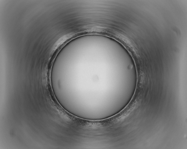 X0000112080978200908181238