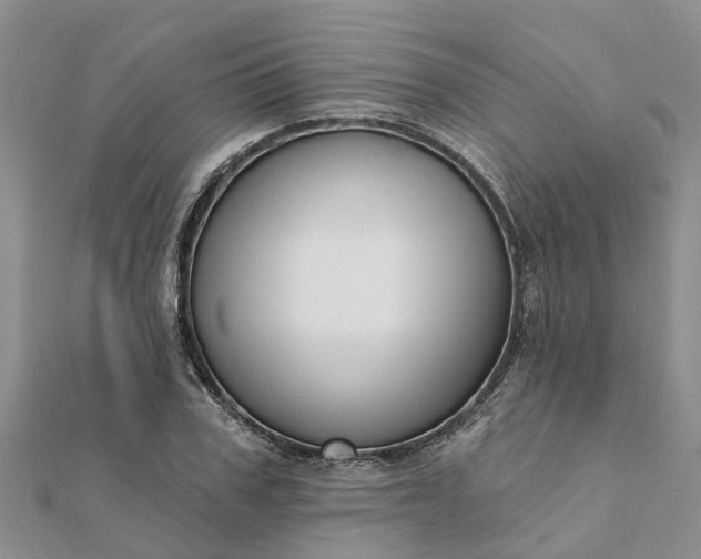 X0000112080979200908181238