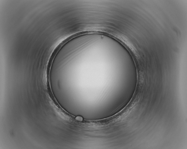 X0000112080980200908181238