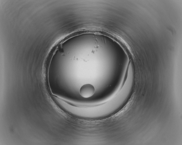 X0000112080981200908181238