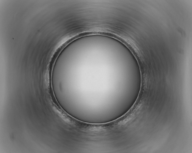 X0000112080982200908181238