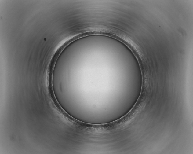 X0000112080983200908181238