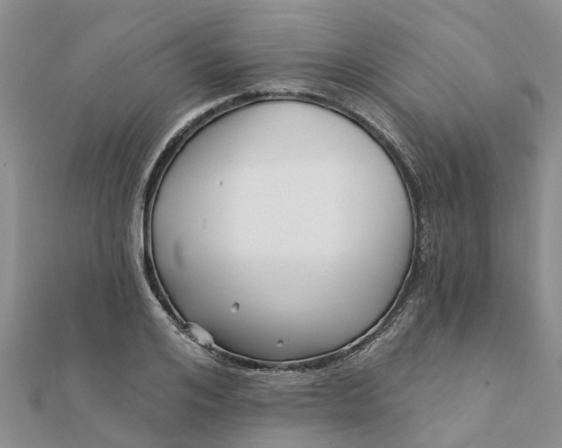 X0000112080984200908181238