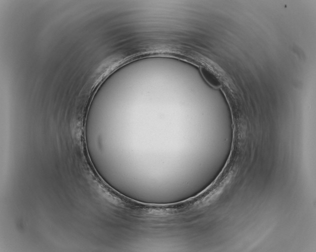 X0000112080985200908181238