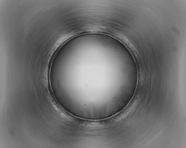 X0000112080986200908181238