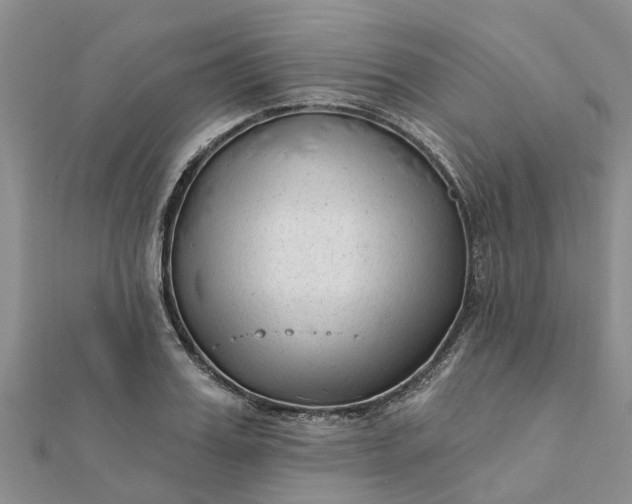 X0000112080987200908181238