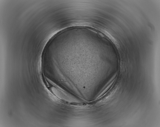 X0000112080988200908181238