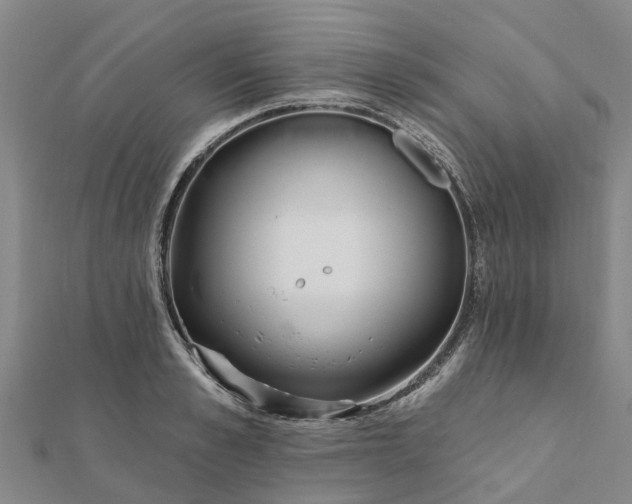 X0000112080989200908181238