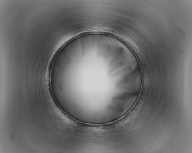 X0000112080990200908181238