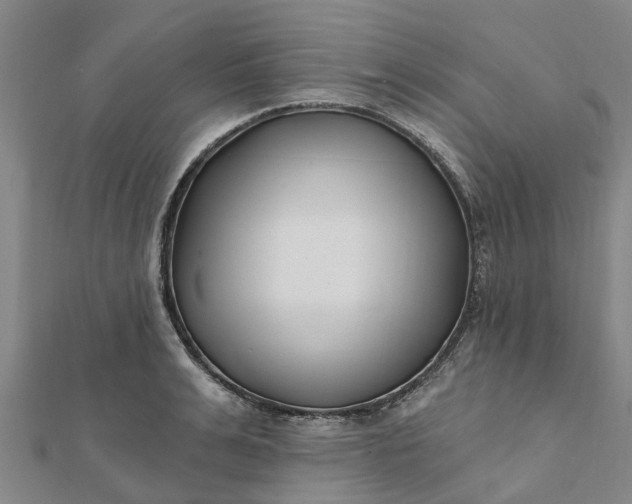 X0000112080991200908181238