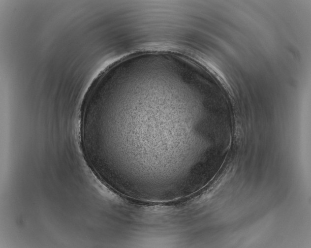 X0000112080992200908181238