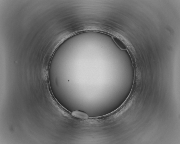 X0000112080993200908181238