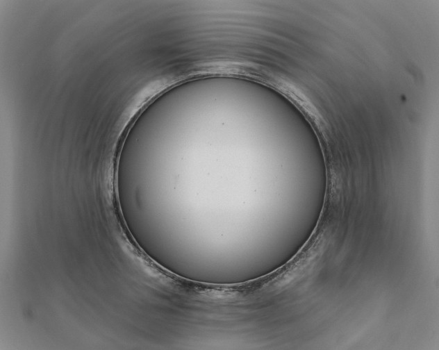 X0000112080994200908181238