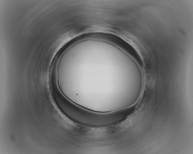 X0000112080997200908181238