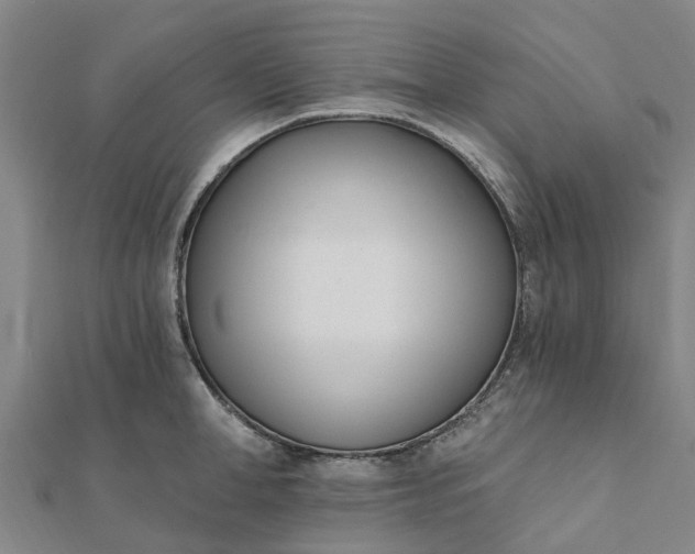 X0000112080998200908181238