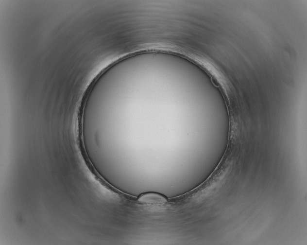 X0000112080999200908181238