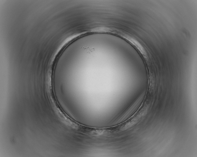 X0000112081000200908181238