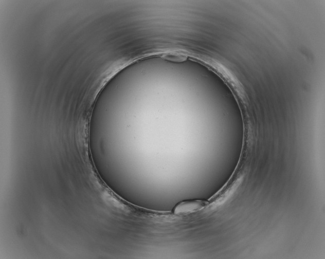 X0000112081001200908181238