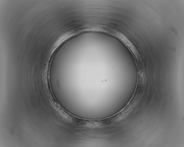 X0000112081002200908181238