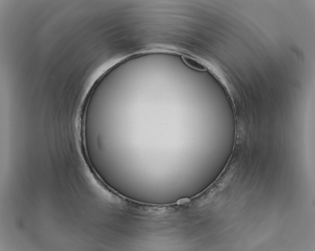 X0000112081003200908181238