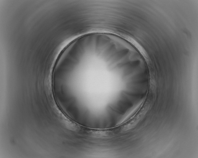 X0000112081004200908181238