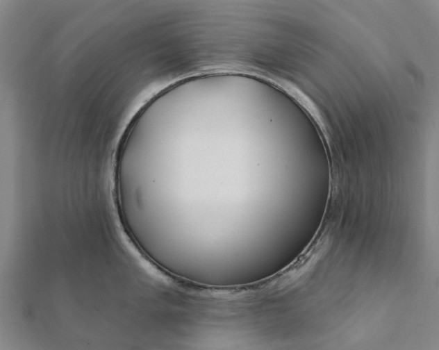 X0000112081005200908181238