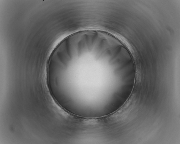 X0000112081006200908181238