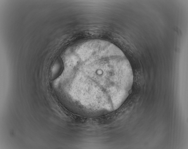 X0000112081009200908181237