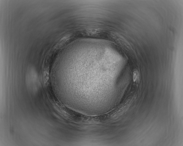 X0000112081011200908181237