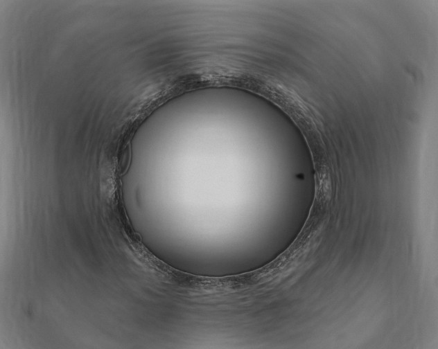 X0000112081012200908181237